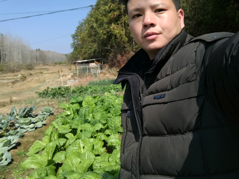 倔强的驴的第一张照片--云霄相亲网