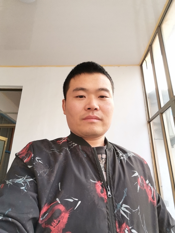 会飞的猪的第一张照片--云霄相亲网